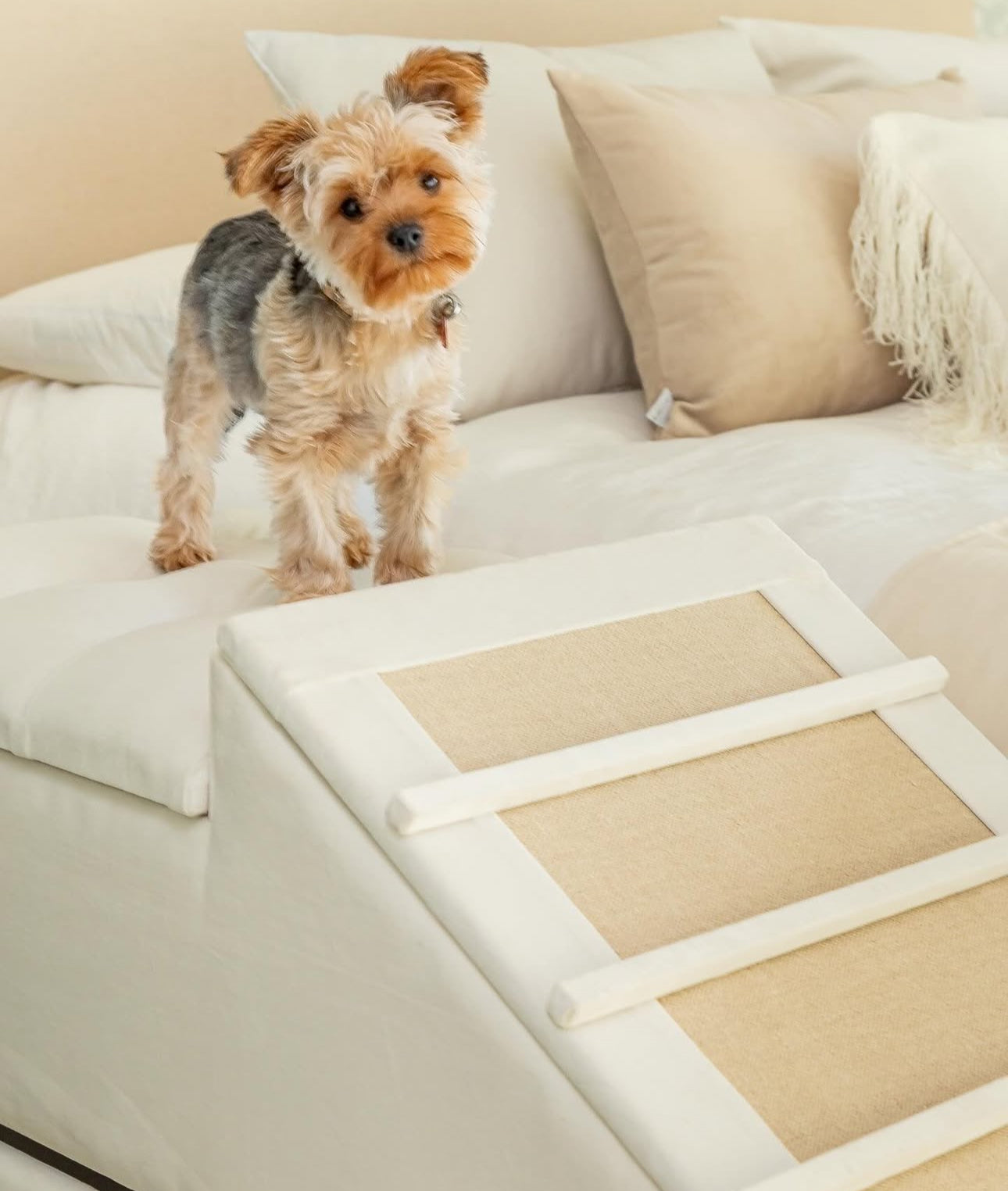 Baul Lucky - Rustic Chic